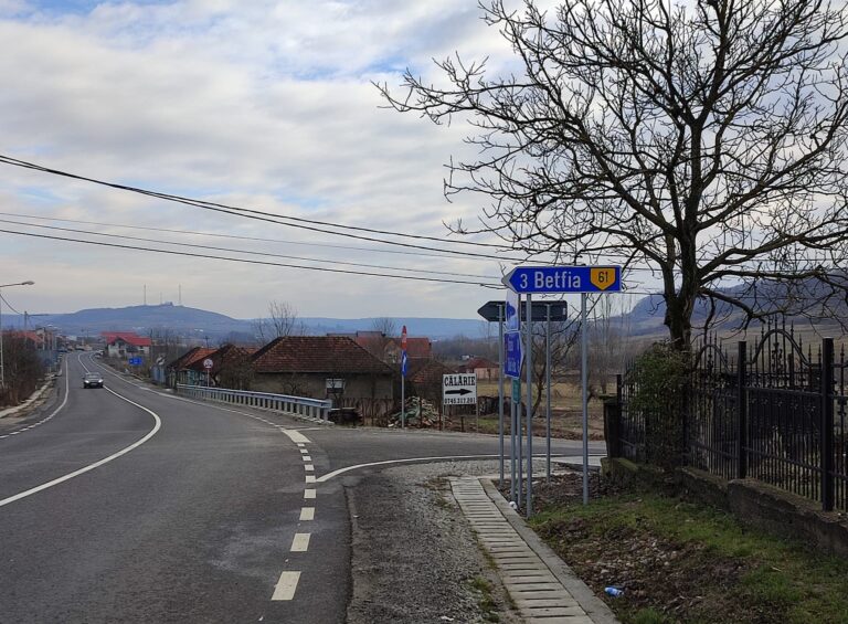 Un indicator rutier din Hidișelul de Jos, de pe DN76, indică un drum care se termină într-o pășune