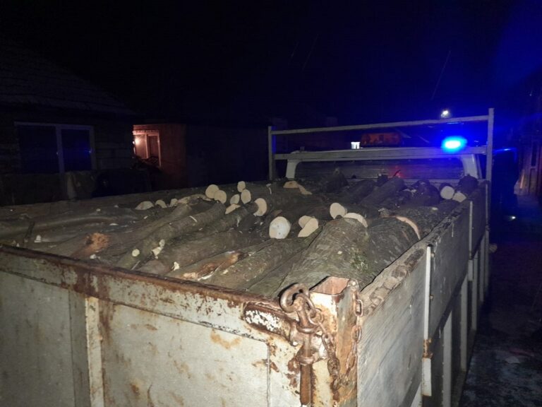 Un bărbat din Tinca a fost depistat de poliție  transportând lemn de foc fără documente de proveniență