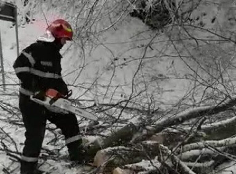 Pompierii din Beiuș și Aleșd au degajat copaci prăbușiți pe carosabil în Roșia și Peștiș