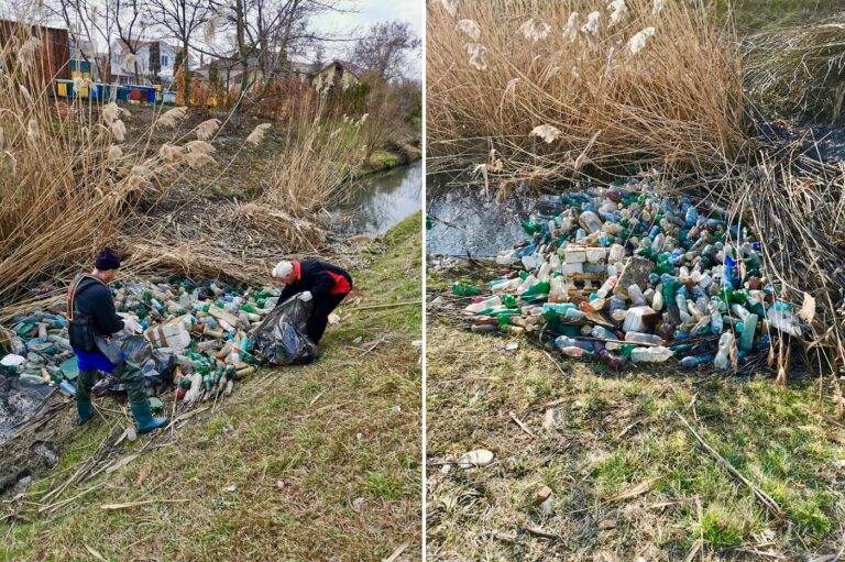 Baraj de gunoaie, de PET-uri, pe pârâul Peța, în Oradea: Riveranii și-au pierdut bunul simț