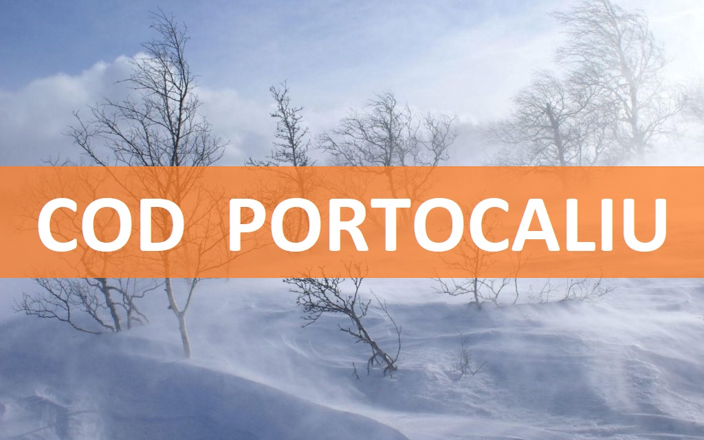 Cod portocaliu de viscol în zona montană a județului Cluj