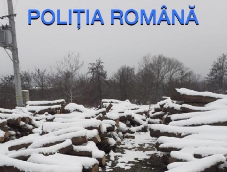 Polițiștii din Sebiș au constat că dintr-un fond forestier din Buteni, au fost expediați zeci de metri de lemn, fără acte!