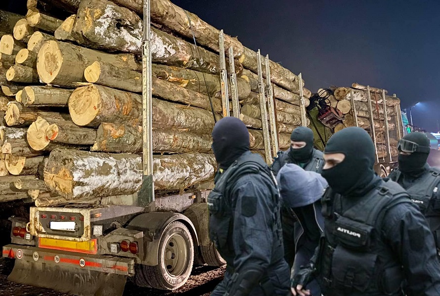40 de controale au efectuat jandarmii și Garda Forestieră în Apuseni și Alba în domeniul silvic: Au fost aplicate 92 de sancțiuni contravenționale!