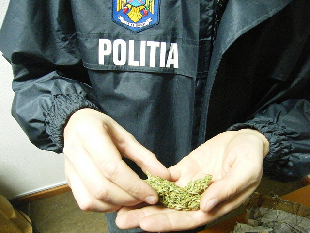 IPJ Bihor: Traficul de droguri și deținerea în vederea consumului propriu reprezintă infracțiuni cel mai frecvent întâlnite