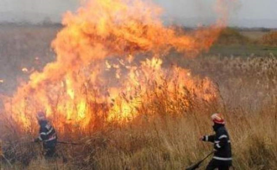 Sancțiuni aplicate de pompieri și de reprezentanții APIA persoanelor care incendiază terenurile și pășunile