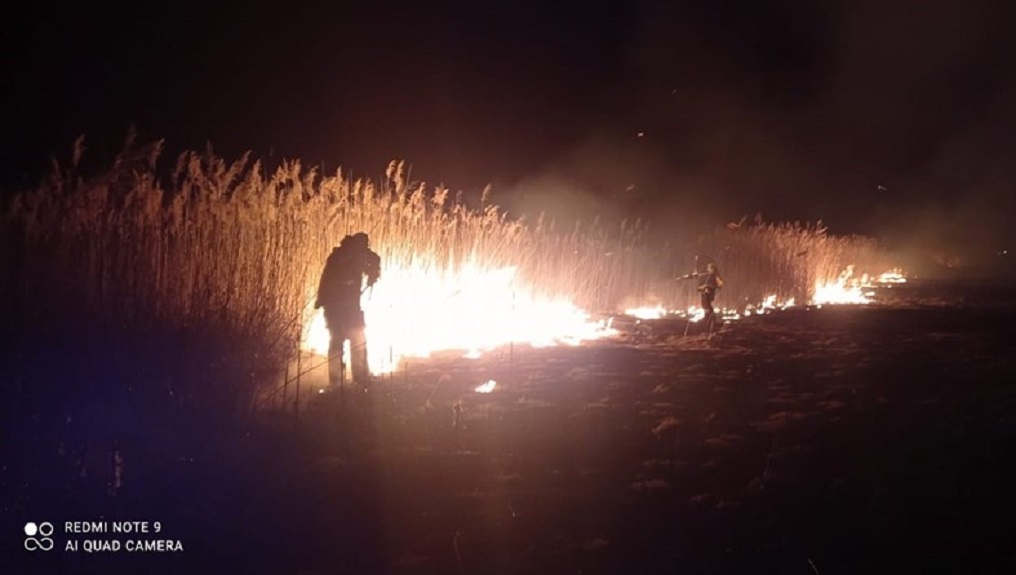 Pompierii din Beiuș și Ștei au stins opt incendii produse la o pădure și la terenuri virane