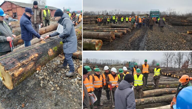 Silvicultorii din Bihor au participat la un curs de perfecționare în sortarea lemnului fasonat
