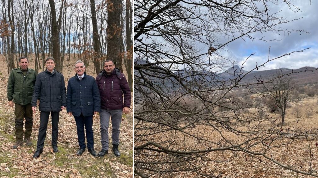 Piatra Craivii, pădurea de stejar din satul Bucerdea Vinoasă, reprezintă o oportunitate de dezvoltare a unui parc tematic