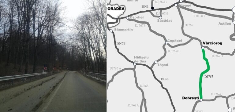 Drumul dintre Dobrești-Vârciorog, „pârtie” pentru buștenii tăiați și cărați din pădure?