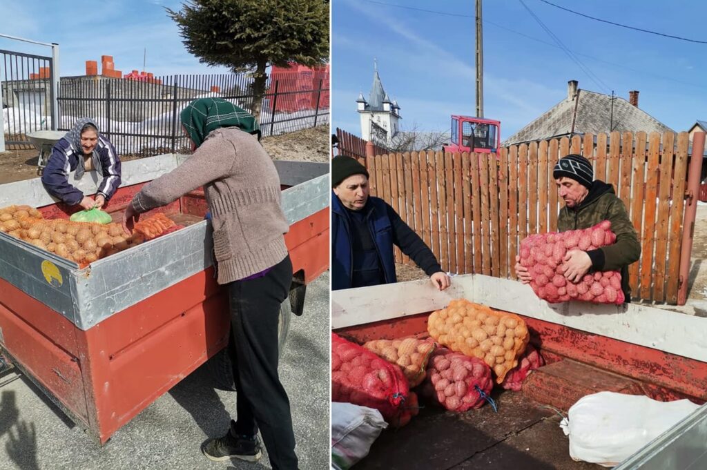 Cartofii de Rîșca au luat calea Ucrainei! După ce au ajutat în vară moții din Apuseni, acum sunt aproape și de ucraineni