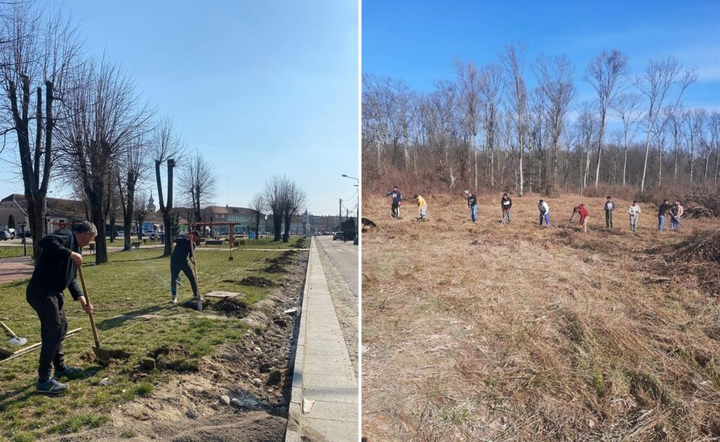 Sebișul verde: A fost plantat un hectar de pădure de stejar în zona Sebișului și 100 de puieți din diferite specii