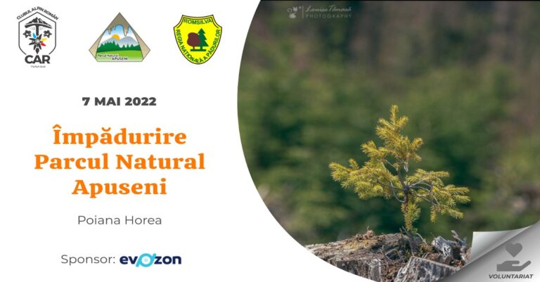 Acțiune de împădurire în Poiana Horea, în Parcul Natural Apuseni