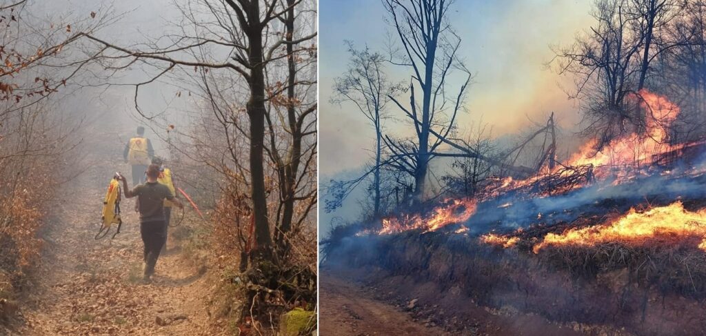 Parcul Natural Apuseni: NU ardeți vegetația pajiștilor permanente! NU incendiați deșeurile! NU ardeți miriștile și resturile vegetale!