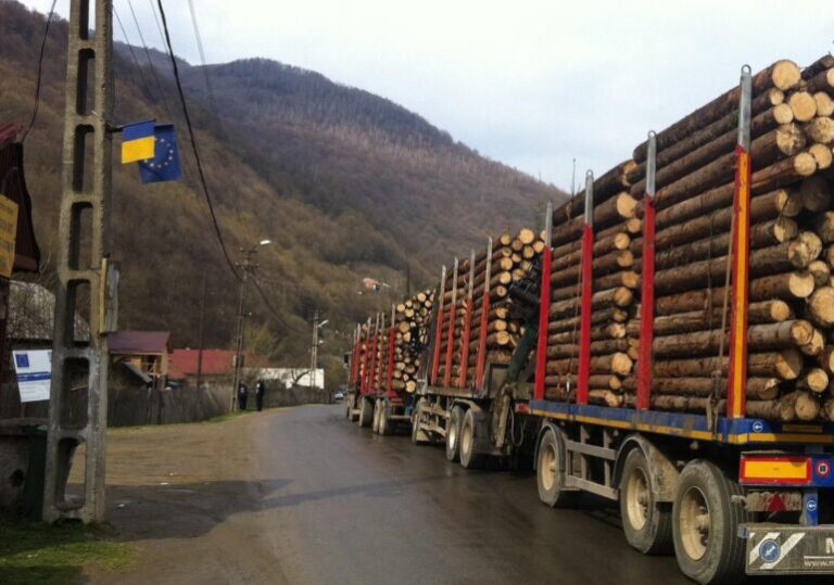 Controale pentru verificarea legalității exploatării lemnului în Alba și Țara Moților