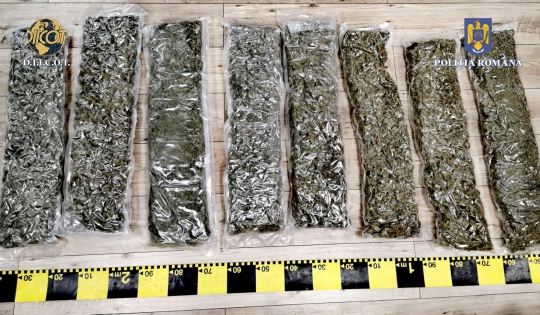 Percheziții ale DIICOT: Doi clujeni au ridicat, de la o firmă de curierat, un colet cu 8 kg de cannabis
