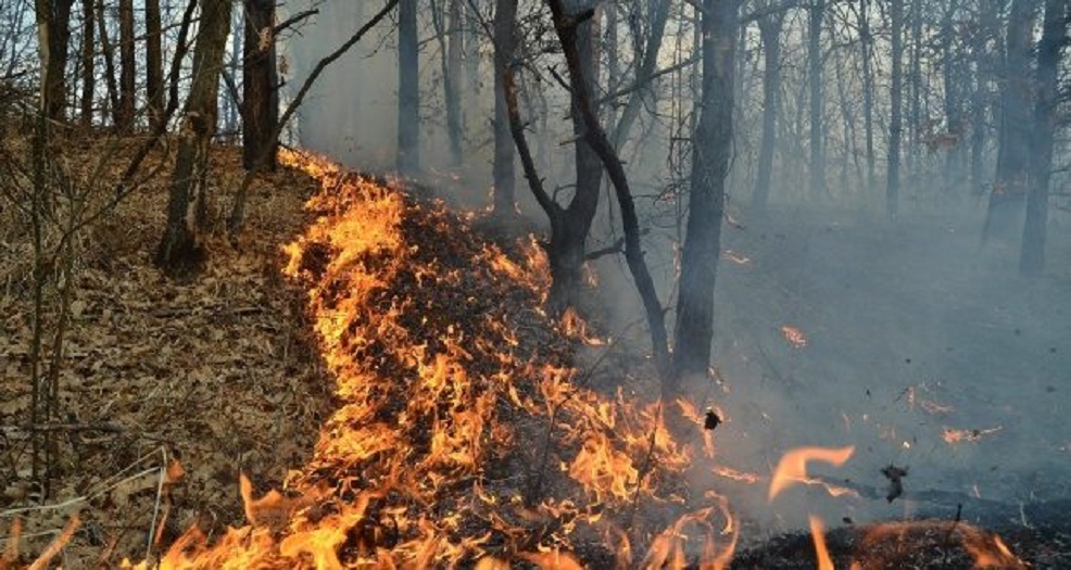Incendii în inima Munților Apuseni, la Beliș, în zona Bălcești!
