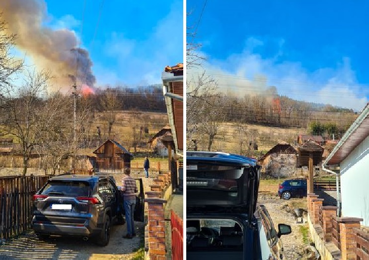 Știrea cititorului: Incendiu necontrolat în pădure, în Sălciua! Știrea cititorului: Incendiu necontrolat în pădure, în Sălciua!