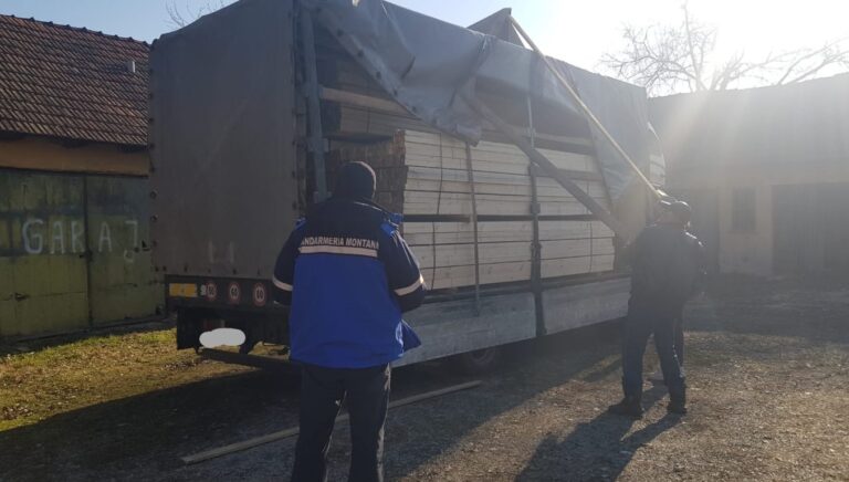 Jandarmii brădeni au amendat un bărbat care transporta lemn fără avizul de însoțire