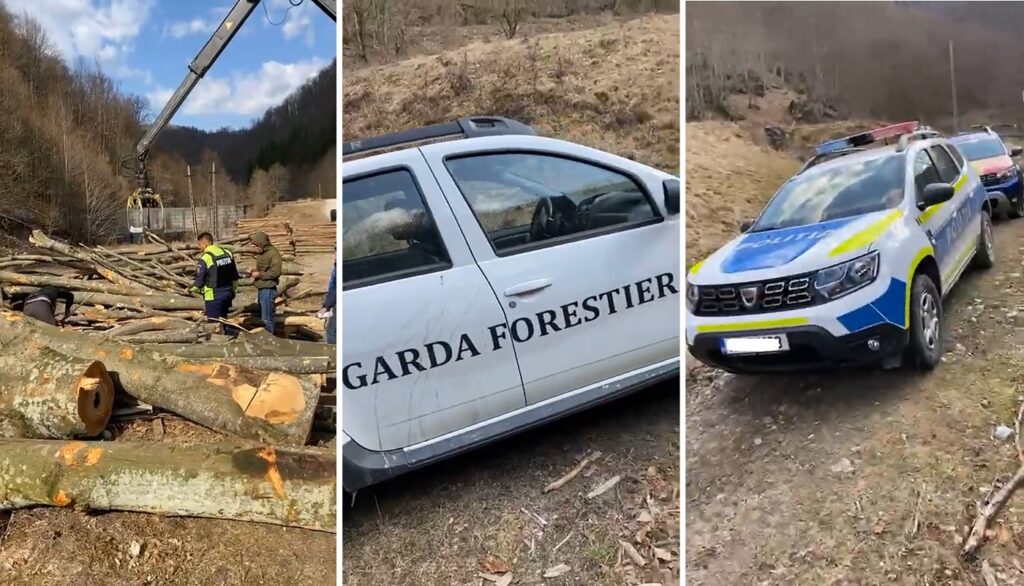 (VIDEO) Poliția din Bulz mâna în mâna cu Mafia Lemnului? Acuzații extrem de grave ale activiștilor de la Diaspora Europeană