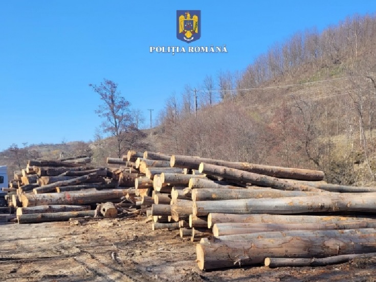 Peste 108 mc de lemn fără acte au fost confiscați de polițiștii din Aleșd, Beiuș și Marghita