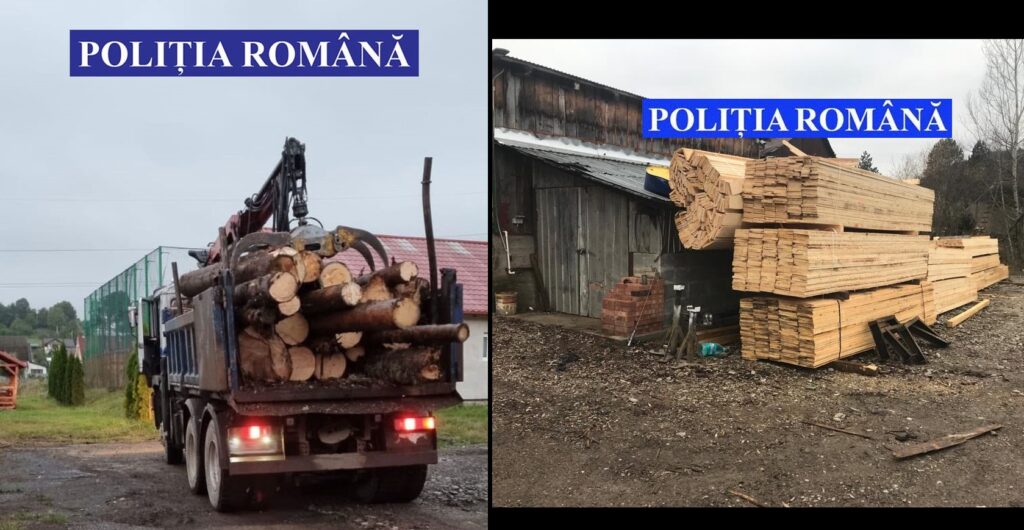 Goțiu: Nici războiul nu oprește MAFIA PĂDURILOR! Camioane confiscate, peste 2.000 mc de lemn fără acte…
