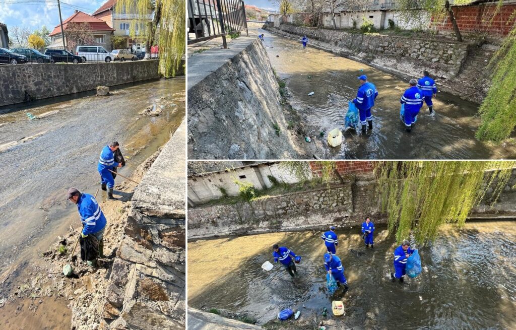 Acțiune de igienizare a Văii Izvor din Aleșd: 500 kg de deșeuri reciclabile au fost colectate