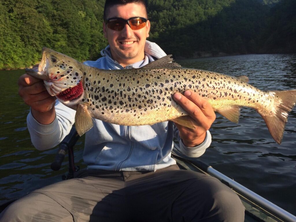 (VIDEO) Cum a prins un orădean un păstrăv URIAȘ din lacul Tarnița?
