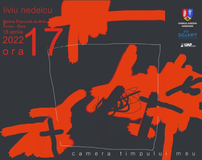 Expoziție de artă contemporană la Deva: „Camera timpului meu” de Liviu Nedelcu