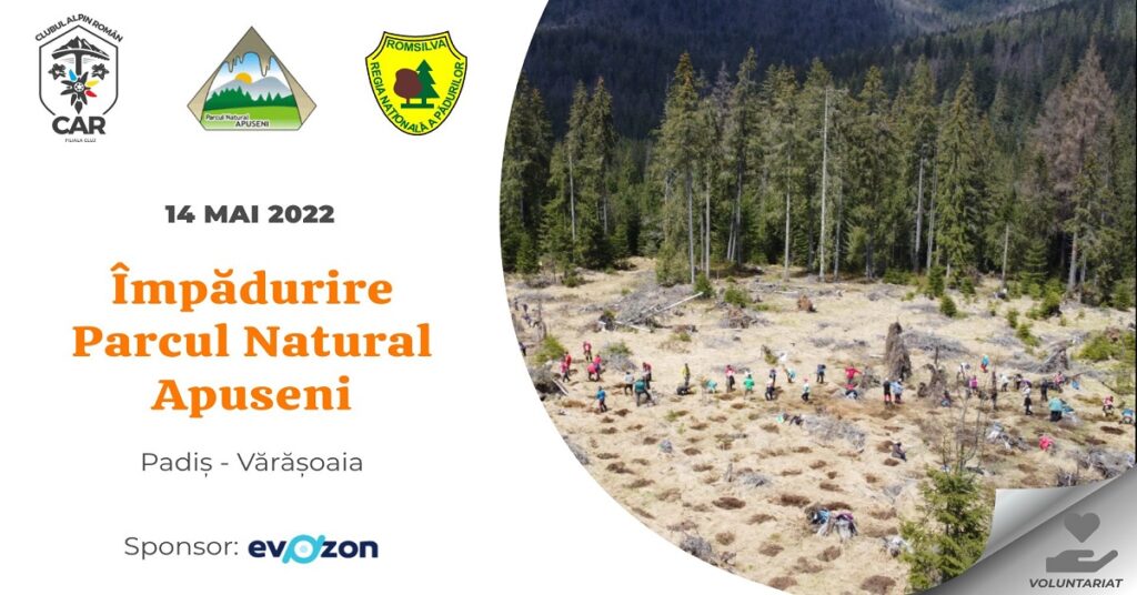 Împădurire în Parcul Natural Apuseni – Padiș (Vărășoaia)