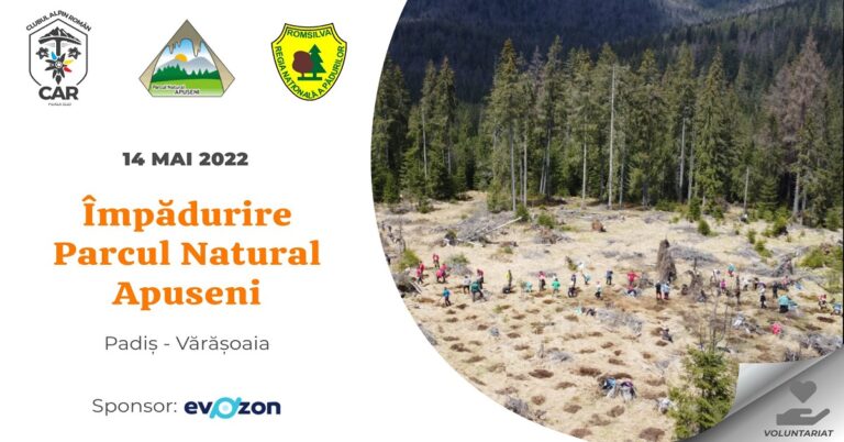 Împădurire în Parcul Natural Apuseni – Padiș (Vărășoaia)