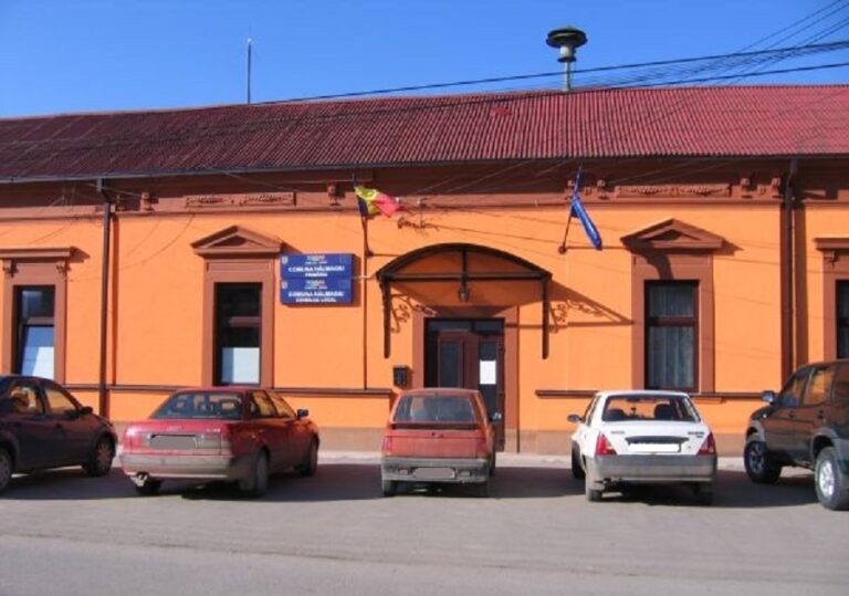 Primăria din Hălmagiu a scos la concurs un loc de muncă