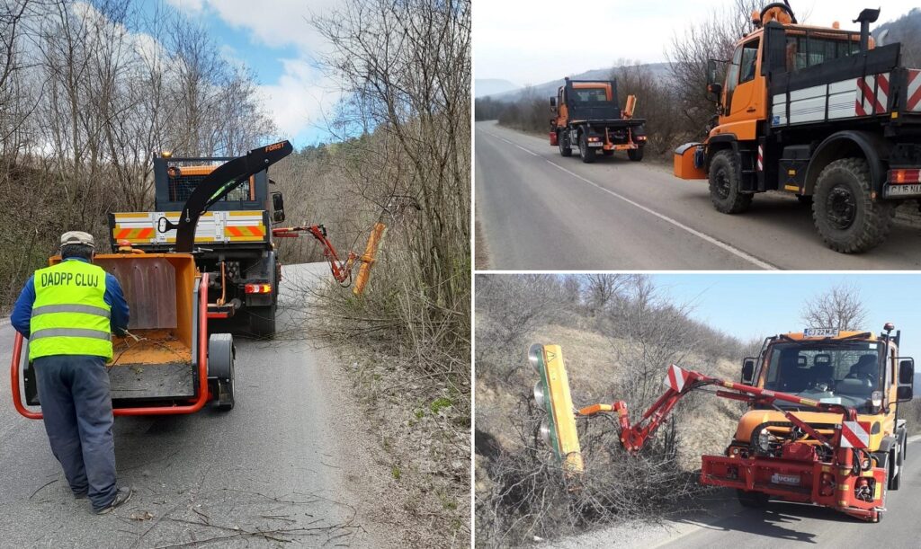 Au demarat lucrările de toaletare a arborilor în zona de munte a Clujului, în Apuseni
