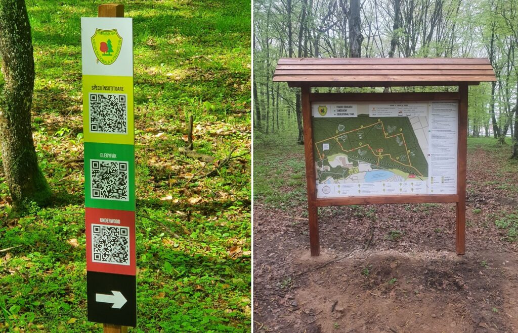 Un traseu educativ a fost inaugurat de Direcția Silvică Bihor într-o pădure din Băile Felix