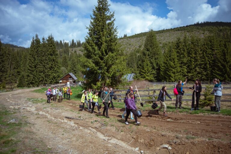 Acțiunea de împădurire de la Măguri-Răcătău, un real succes: 3000 de puieți de molid au fost plantați