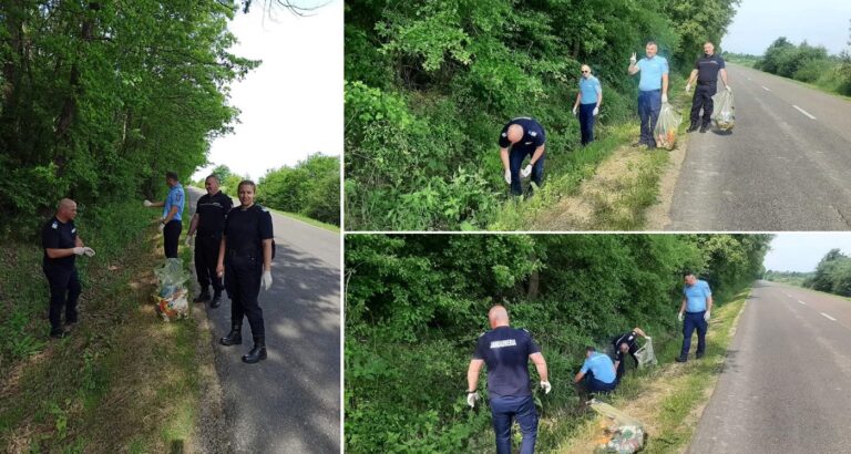 Jandarmii bihoreni s-au alăturat campaniei de ecologizare din pădurea de lângă Alparea