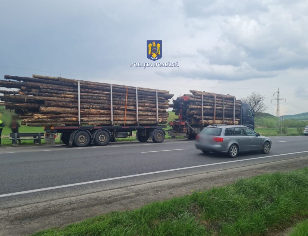 Un bărbat din Mărgău s-a ales cu dosar penal după ce a fost prins cu o încărcătură prea mare de lemne pe DN1 E60, în Huedin!