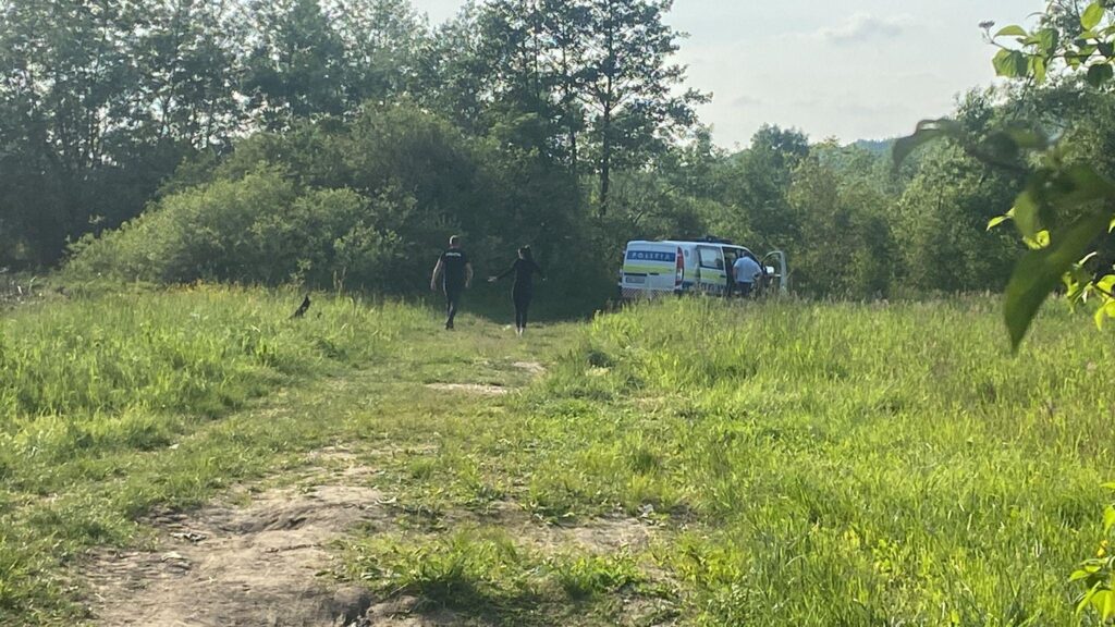 Tânăra de 30 de ani care a dispărut sâmbătă a fost găsită moartă lângă Aleșd 