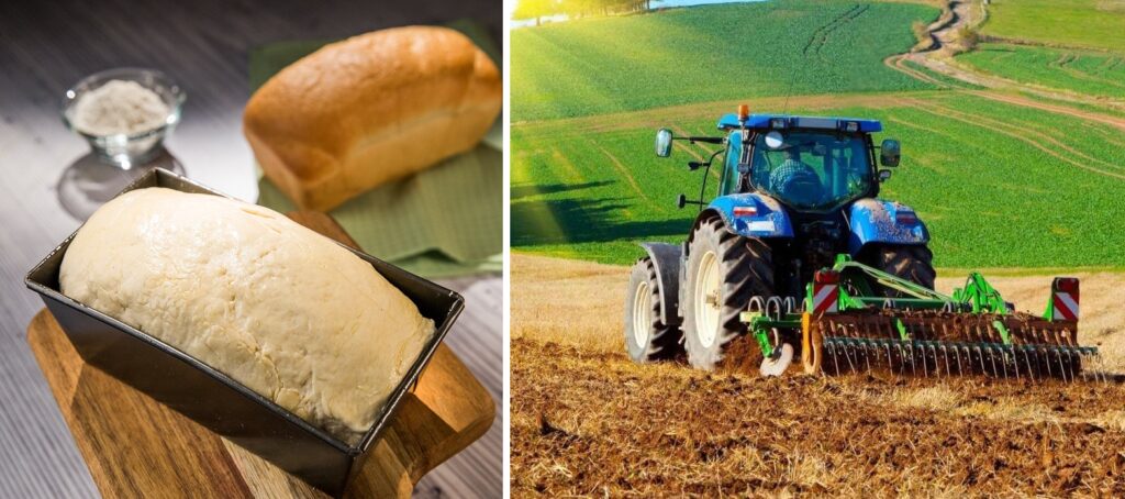 Deutsche Welle, despre agricultura românească: exportă grâu și importă aluat congelat