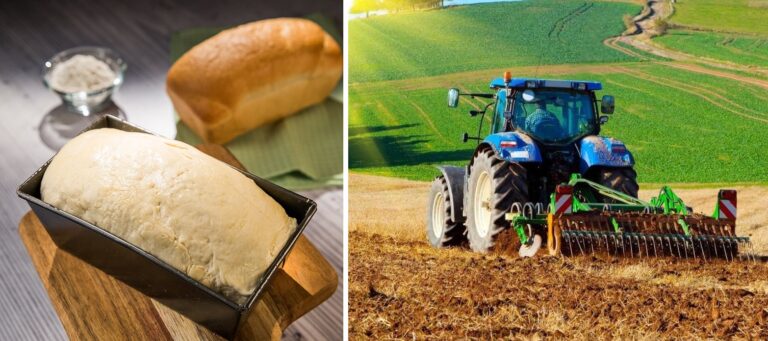 Deutsche Welle, despre agricultura românească: exportă grâu și importă aluat congelat
