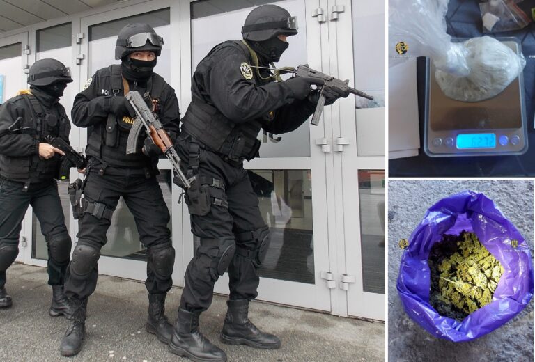 Mafia DROGURILOR lovită în Bihor: 5 bărbați au fost reținuți, după 11 percheziții domiciliare!