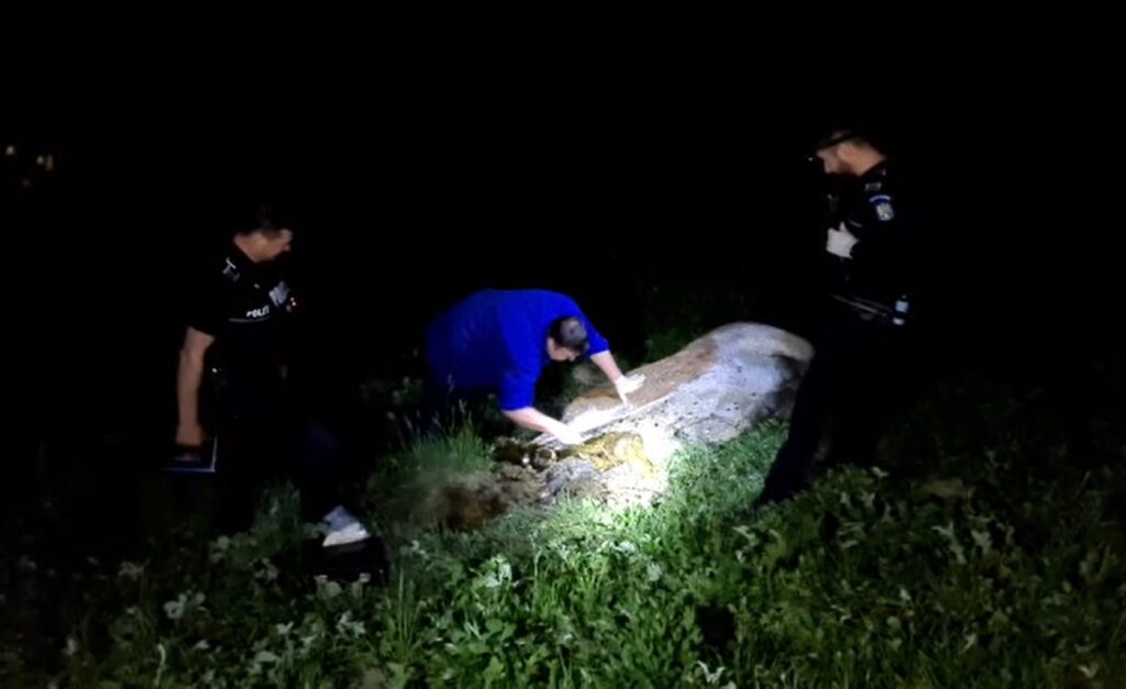 Un taur a fost împușcat în Căzănești: Animalul era parțial devorat de animalele sălbatice!