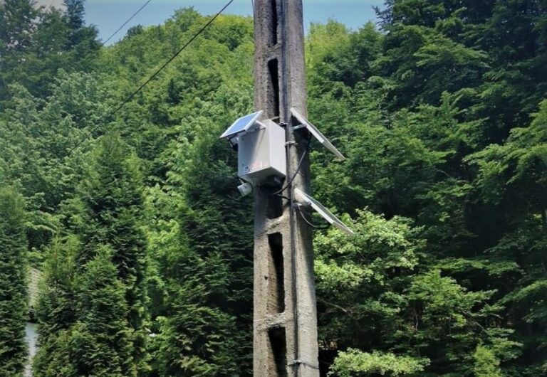 177 de camere de monitorizare contra tăierilor ilegale au fost montate inclusiv în Apuseni