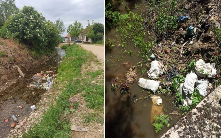 PET-uri și gunoaie pe Crișul Negru și Crișul Repede: Prefectul de Bihor a dispus controale!