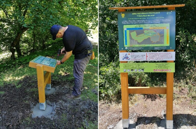 Silvicultorii finalizează două trasee tematice din Pădurea Bejan: Traseul Stejarilor și Traseul lui Ghinduță
