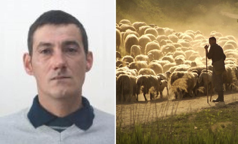 Polițiștii din Brad au fost sesizați că un bărbat s-a pierdut în zona satelor Curechiu-Rovină, din Bucureșci