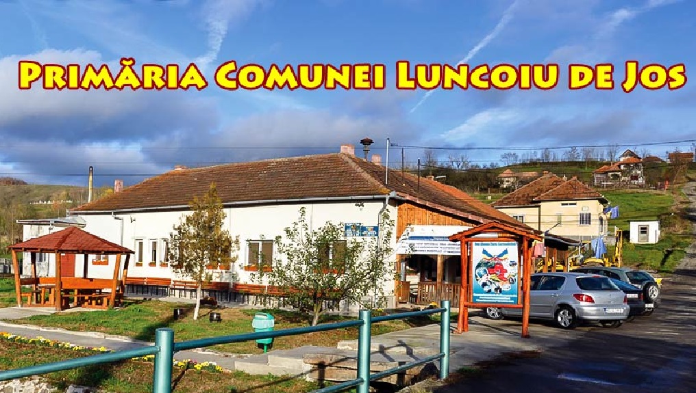 Primăria din Luncoiu de Jos a scos la concurs un post de inspector de specialitate