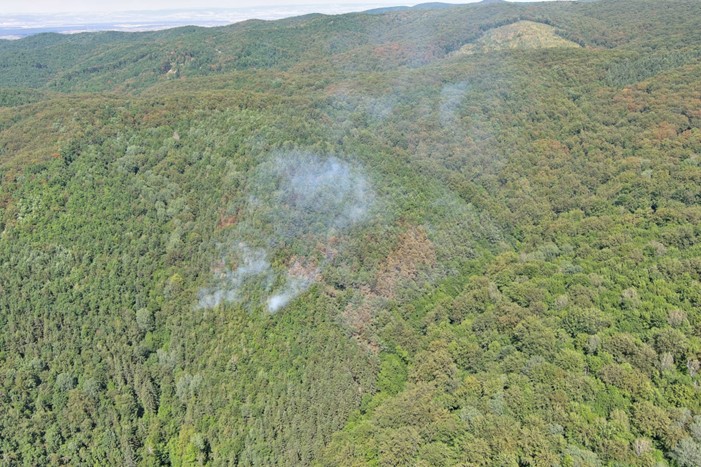 Incendiu pădure în zona localității Pădurea Neagră