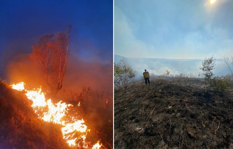 Pompierii din Ștei au intervenit la un incendiu izbucnit la o pășune din Pietroasa