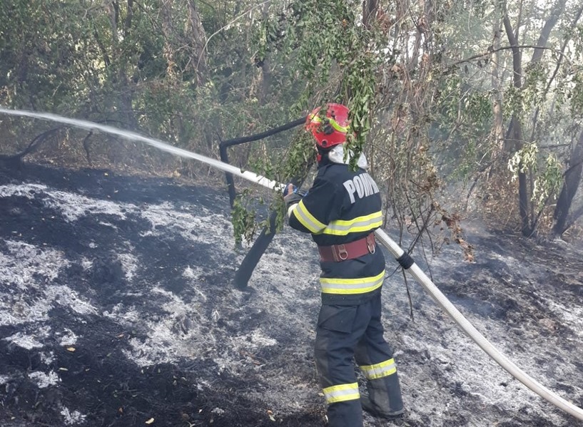 Peste 120 de hectare din Bihor au fost afectate de incendii: Comunele Pietroasa, Sârbi și Buntești au fost afectate!