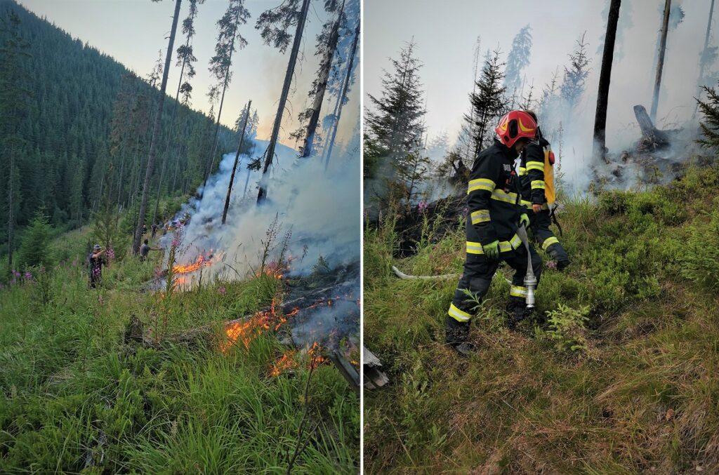 Un incendiu de pădure din Poiana Urășa, Măguri Răcătău, a fost stins cu mari eforturi depuse de pompieri, silvicultori, jandarmi și localnici